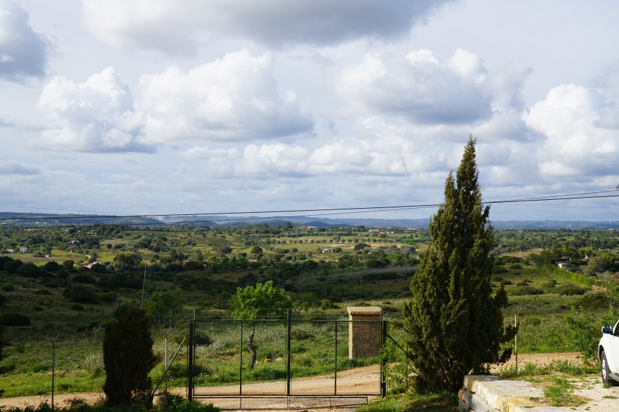 gal/diverses/Portugal Algarve 2017/DSC09599.JPG